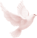 //lendvaykati.gportal.hu/portal/lendvaykati/image/gallery/1264350023_88.gif