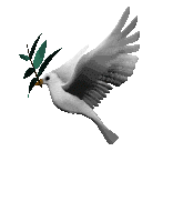 //lendvaykati.gportal.hu/portal/lendvaykati/image/gallery/1264350786_32.gif